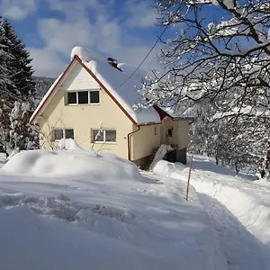 Klementina Vikendica
